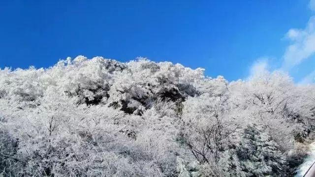 人去世要在朋友圈发他吗游戏画面