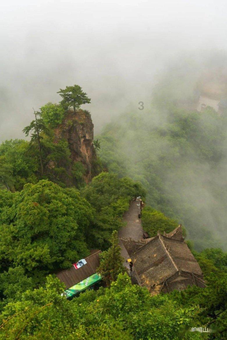 迷失在荒野