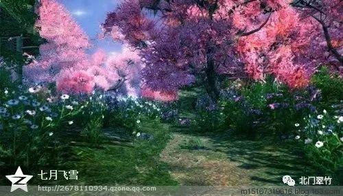 泡泡趴