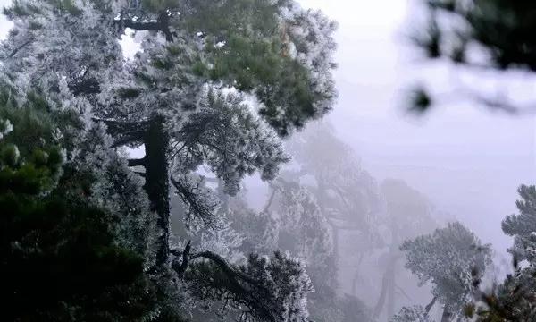 路虎发现三u0416故障游戏画面