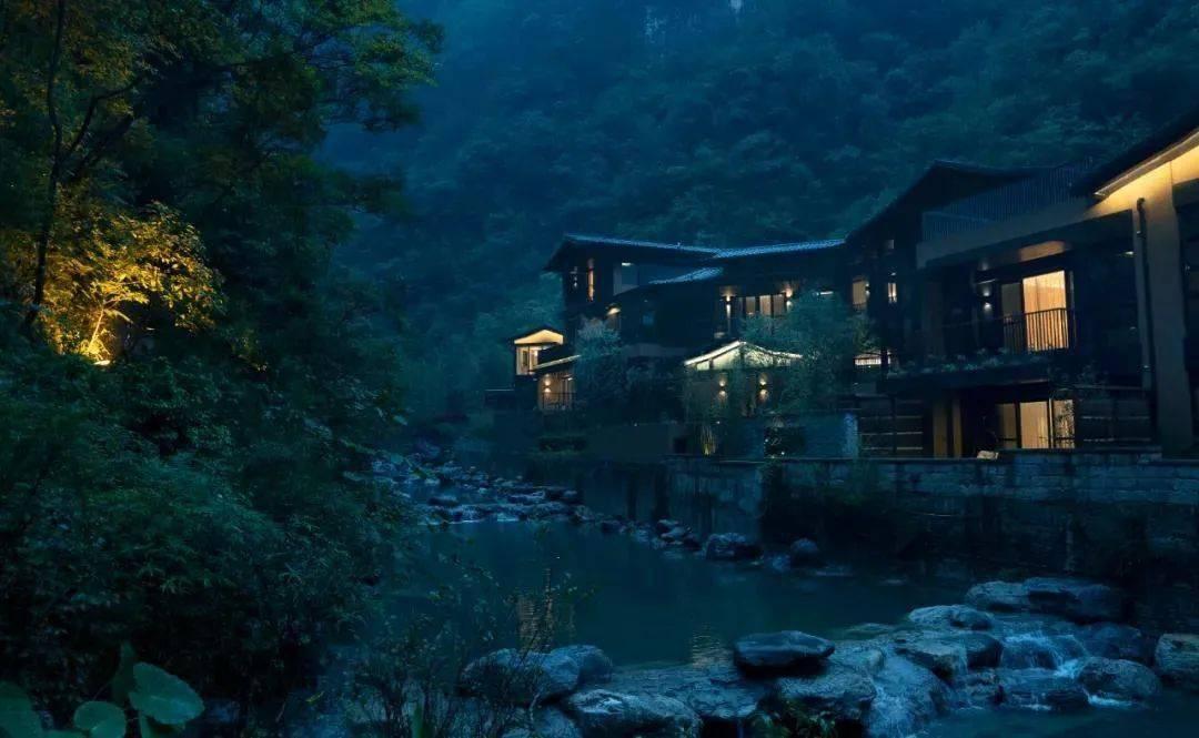 拯救枯树