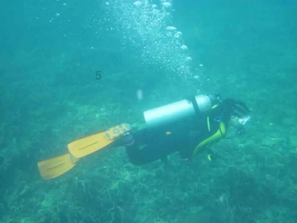 燃烧吧大脑免广告最新版