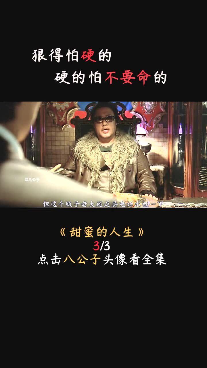 小猫钓鱼游戏龙王版有船