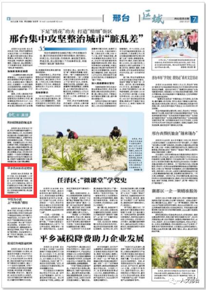 妙鸭相机app下载官网