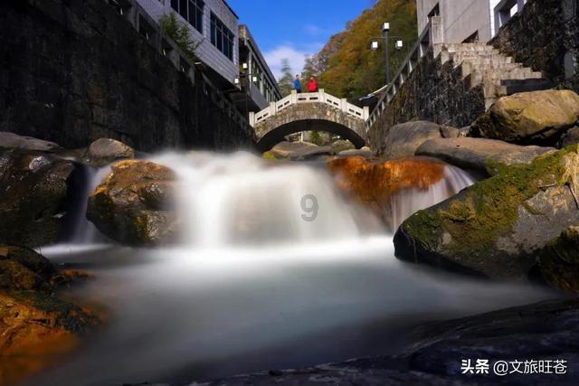 虫虫助手下载