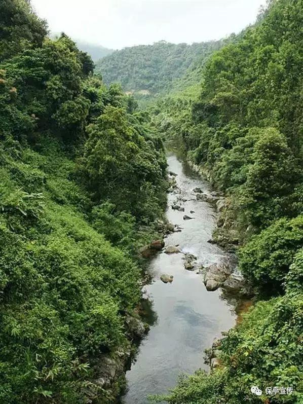 德古拉伯爵的住所