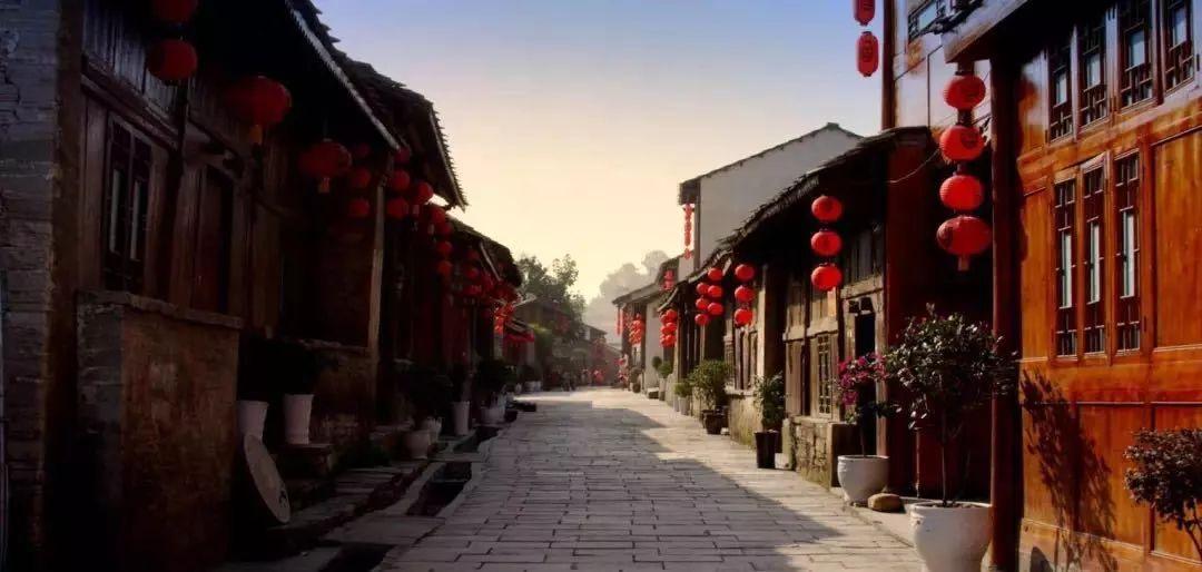 逃离棕榈树森林