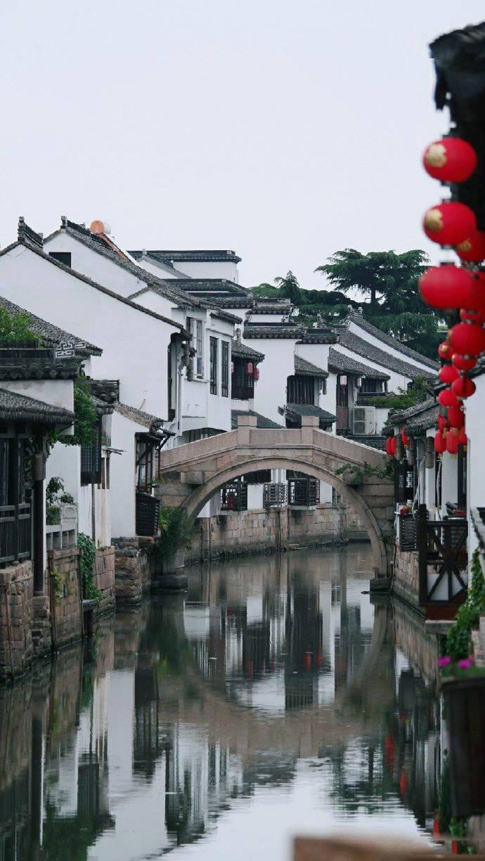 这是什么野草